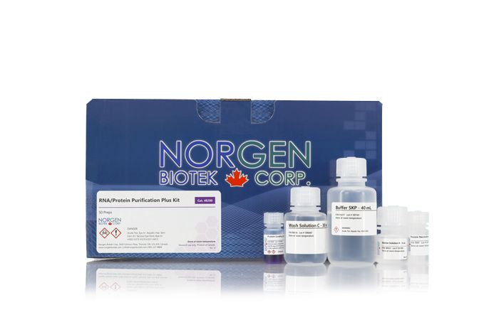 RNA/Protein Purification Plus Kit